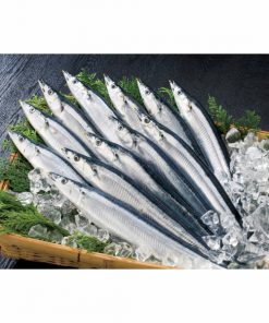 ca-thu-nhat-nguyen-con